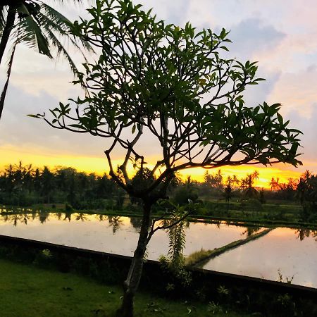 Villa Limasan, Ubud Экстерьер фото